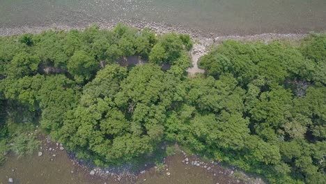 Narrow-lush-island-drone-ascend-on-top-to-reveal-the-water