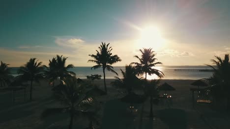 Buttery-soft-forwards-slowly-rise-up-drone-shot-from-pool-over-palmtrees-to-the-sunset-at-a-beach
Drone-shot-on-Zanzibar-at-Africa-in-winter-2019