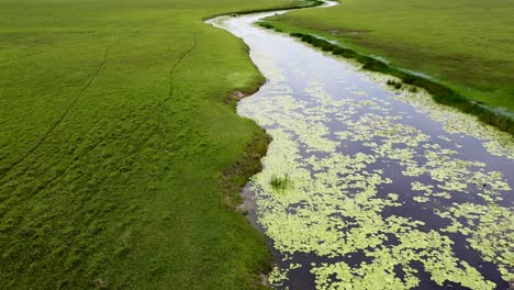 Reversal-down-stream-river-surrounded-by-vast-open-plain-wetlands-landscape-at-Ira-Lalaro,-Nino-Konis-Santana-National-Park,-Timor-Leste,-aerial-drone-reversing