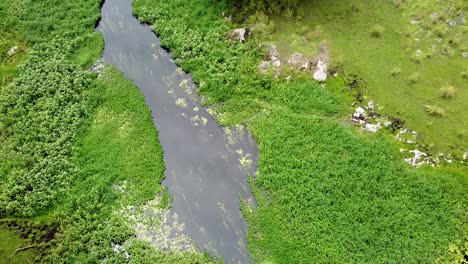 Plant-covered-stream-river-waterway-in-remote-and-wild-crocodile-habitat-of-Ira-Lalaro-wetlands,-Timor-Leste,-Southeast-Asia,-aerial-drone-rising-for-birds-eye-view