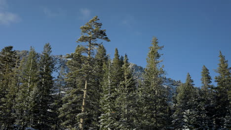 Beifahrerseite-Pov-Während-Der-Fahrt-Durch-Die-Landschaft-Von-Lake-Tahoe-An-Einem-Schönen-Wintertag