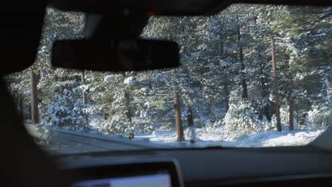 POV-from-backseat-of-car-traveling-through-Lake-Forest-landscape-of-snow-and-Douglas-Fir-trees-with-rack-focus-to-the-rearview-mirror