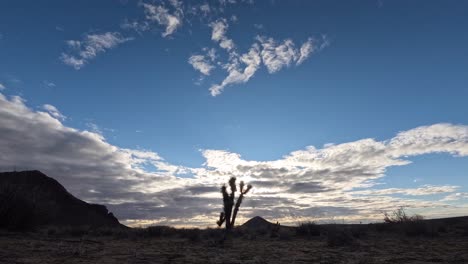 A-sunrise-cloudscape-crosses-the-Mojave-Desert's-rugged-terrain-with-a-Joshua-tree-in-the-foreground---wide-angle-time-lapse