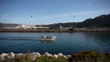Establishing-view-fisherman-vessel,-Flock-of-seagulls-follow-searching-for-Fish