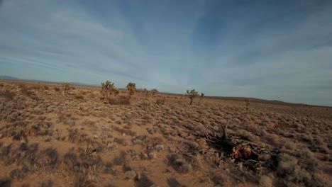 Volar-Un-Dron-En-Primera-Persona-Entre-Los-árboles-De-Joahua-En-El-Desierto-De-Mojave-En-Un-Día-Claro-Y-Fresco
