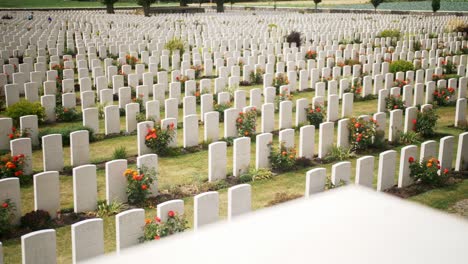 Lápidas-En-Un-Cementerio-Conmemorativo-De-La-Guerra-Entre-Un-Hermoso-Jardín-Verde-Con-Rosas-Rojas-En-Ypres-Beglium,-Tiro-De-Mano-En-Aumento