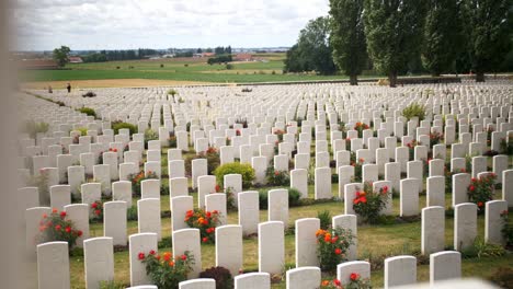 Lápidas-En-Un-Cementerio-Conmemorativo-De-La-Guerra-Entre-Un-Hermoso-Jardín-Verde-Con-Rosas-Rojas-En-Ypres-Beglium,-Tiro-De-Mano-Deslizante