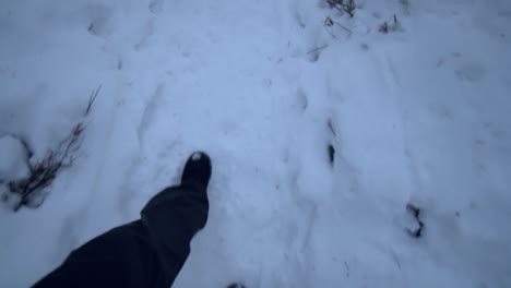 Walking-in-boots-on-a-snowy-road-in-a-forest