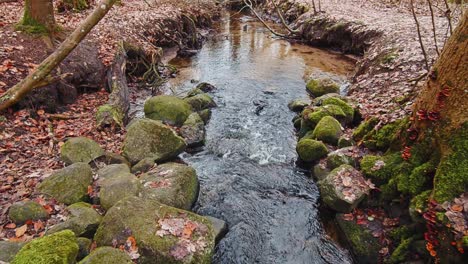 Small-water-stream-in-deep-forest