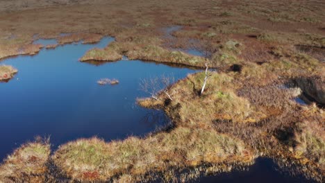 Aerial-view-of-the-swampy-wetlands-in-northern-Norway