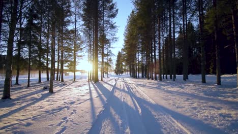 Sun-setting-behind-a-forest-during-snowy-days