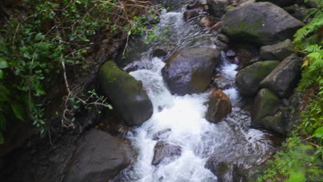 Small-stream-flowing-in-a-jungle