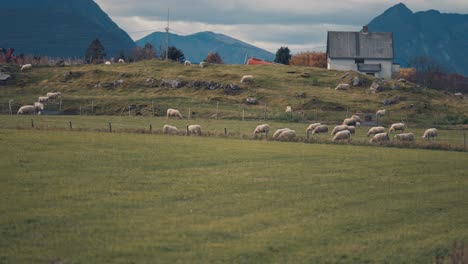 Noruega-Rural