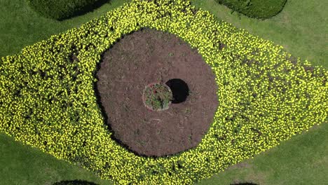 Drone-Ascending-Shot-of-Beautiful-Grass-and-Flower-Garden-in-the-Shape-and-Colors-of-the-Brazilian-Flag