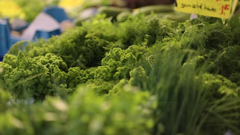 Person-Take-Bunch-Of-Fresh-And-Green-Curly-Parsley-On-Vegetable-Shop
