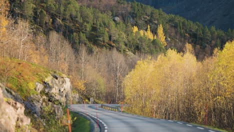 A-narrow-asphalt-road-in-the-sunlit-autumn-landscape