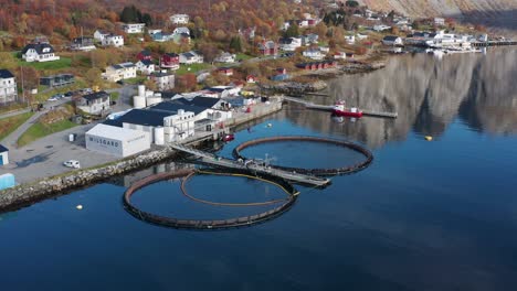 Aerial-view-of-the-small-salmon-farm-with-two-pens-in-the-village-of-Torsken,-Norway