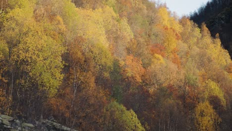 Bunte-Herbstlandschaft-Im-Norden