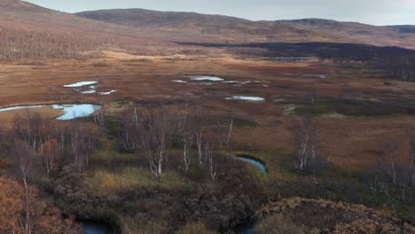 Luftbild-Der-Herbstlichen-Tundra