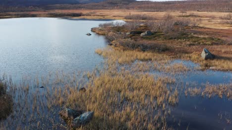 Aerial-view-of-the-lake-in-the-marshland