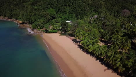 Aerial,-approaching-an-empty-end-of-a-sand-beach-with-palm-trees