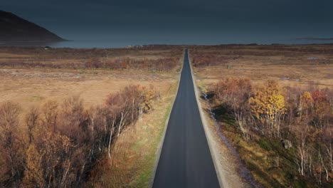 The-narrow-stripe-of-the-black-asphalt-road-runs-through-the-autumn-tundra-to-the-seashore
