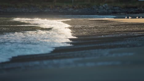 Wellen-Rollen-Langsam-über-Die-Untiefen-Des-Sandstrandes-In-Ersfjord