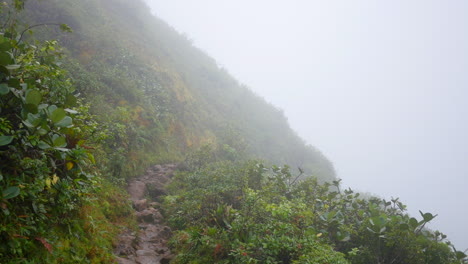 Hiking-trail-in-the-side-of-the-green,-lush,-tropical-rainforest-mountain