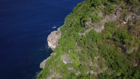 Aerial-close-up-view-of-green-rocky-sea-cliff