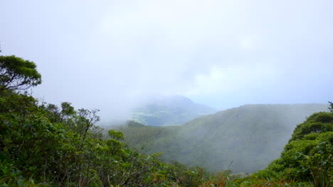 View-from-top-of-a-green,-lush,-tropical-rainforest-mountain