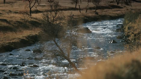Un-Río-Salvaje-Rodando-A-Través-De-La-Tundra