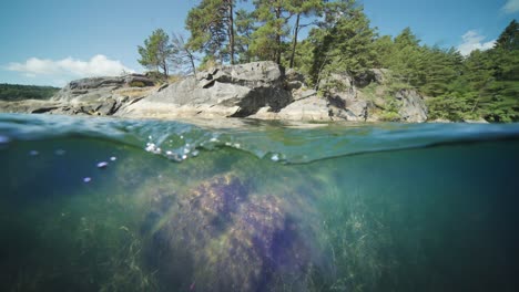 Fjord-over-and-under-water-split-view
