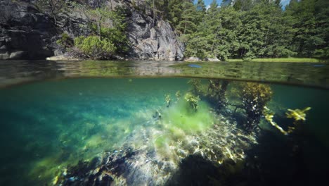 Fjord-over-and-under-water-split-view