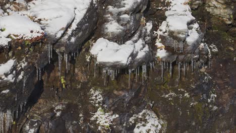 Thin,-fragile-icicles-hang-from-the-moss-covered-stones