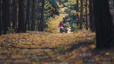 A-woman-walks-with-a-small-white-dog-on-the-trail-in-the-autumn-forest