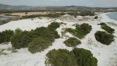 Aerial-drone-video-of-sand-dunes-on-the-sea-in-the-mediterranean,-Sardinia,-Capo-Comino