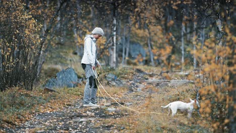 Eine-Europäische-Frau-Mittleren-Alters,-Die-Mit-Einem-Kleinen-Weißen-Hund-Auf-Dem-Pfad-Im-Herbstwald-Spazieren-Geht
