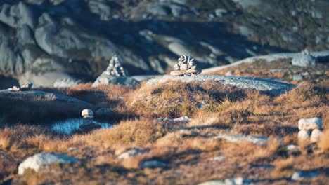Stone-cairns-scattered-through-the-northern-landscape