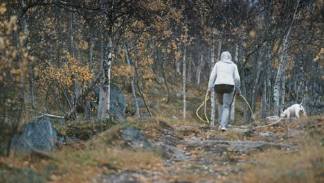 A-European-middle-aged-woman-walking-with-a-small-white-dog-on-the-trail-in-the-autumn-forest