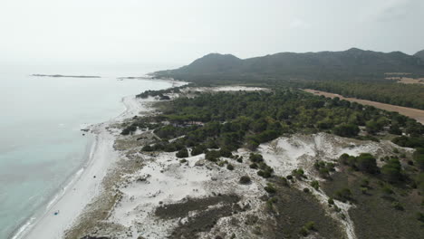 Luftdrohnenvideo-Eines-Strandes-Mit-Sanddünen-Im-Mittelmeer,-Sardinien,-Capo-Comino