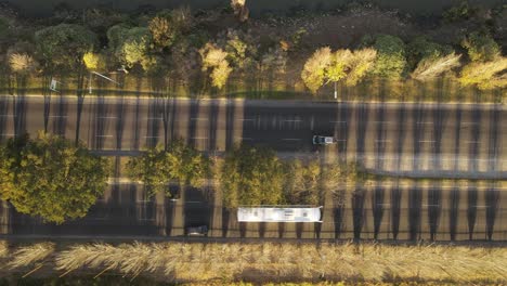 Ein-Dynamisches-Top-Down-Luftbild-Eines-Boulevards-Während-Des-Sonnenuntergangs,-Während-Die-Bäume-Entlang-Der-Autobahn-Schatten-Erzeugen