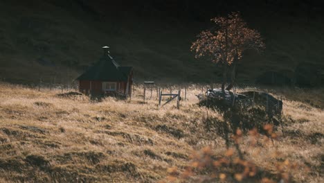 A-small-cozy-grill-hut-in-the-field