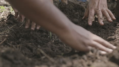 Slow-motion-close-up-footage-of-people's-hands-moving-dirt-around-a-freshly-planted-tree