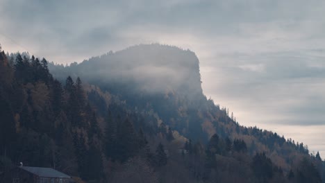 Una-Montaña-Envuelta-En-Niebla-Se-Eleva-Sobre-El-Bosque