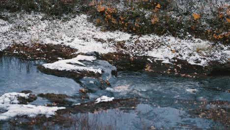 The-first-snow-is-powdered-over-the-low-bushes-and-withered-grass-on-the-banks-of-the-small-shallow-creek