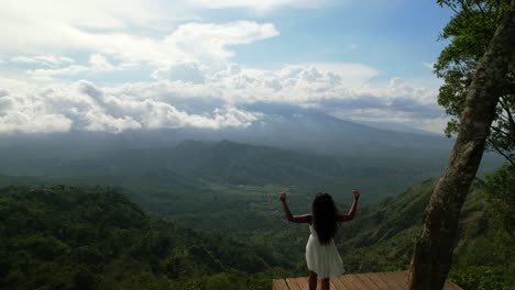Tourist-Auf-Holzplattform-Am-Lahangan-Aussichtspunkt-In-Bali-Indonesien,-Antenne