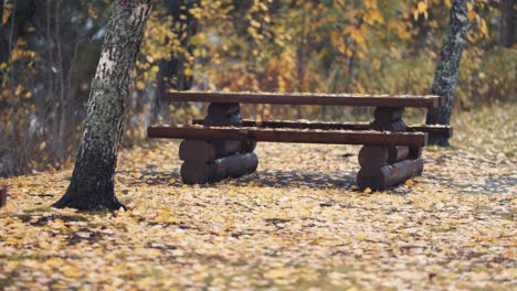 A-bench-in-the-park-covered-with-autumn-leaves