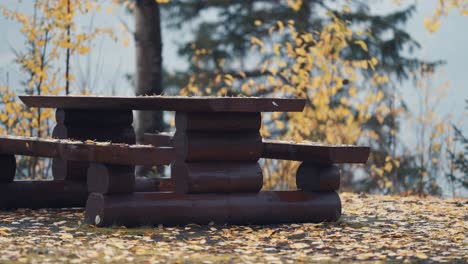 A-close-up-shot-of-the-wooden-bench-covered-with-autumn-leaves
