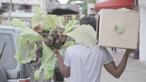 Slow-motion-footage-of-the-back-of-a-person-carrying-a-box-and-a-plant-down-the-street