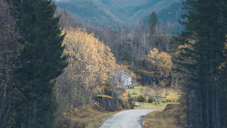 A-narrow-road-goes-through-the-autumn-landscape